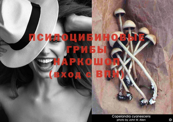 соль ск Коряжма
