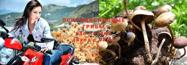 соль ск Коряжма